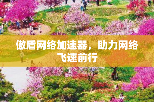 傲盾网络加速器,助力网络飞速前行 傲盾网络加速器,助力网络飞速前行