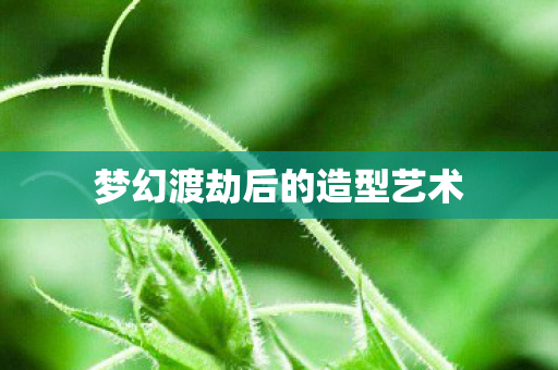 梦幻渡劫后的造型艺术 梦幻渡劫后的造型艺术
