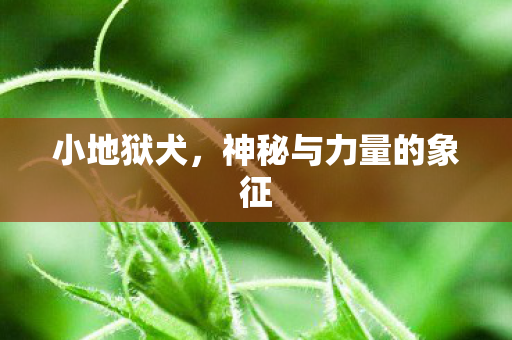 小地狱犬，神秘与力量的象征