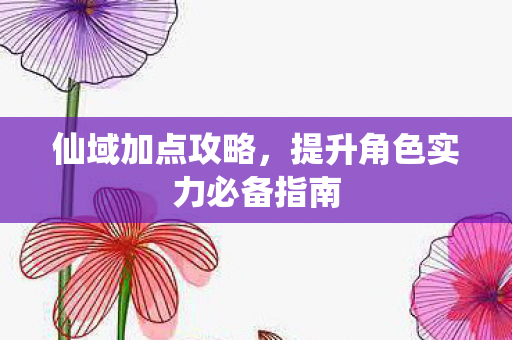 仙域加点攻略，提升角色实力必备指南