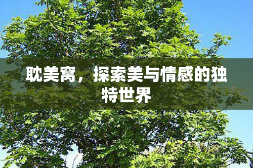 耽美窝，探索美与情感的独特世界