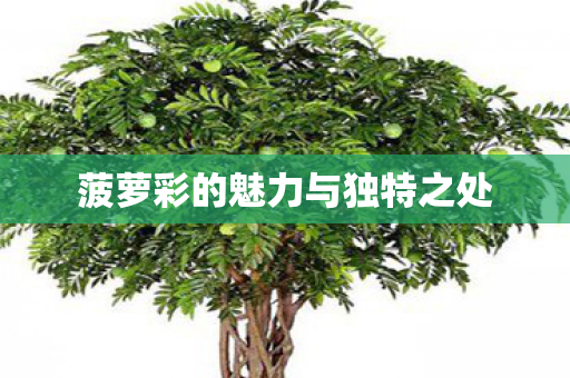 菠萝彩的魅力与独特之处