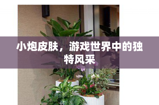 小炮皮肤，游戏世界中的独特风采