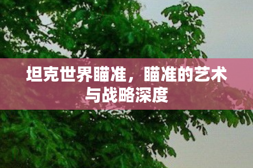坦克世界瞄准,瞄准的艺术与战略深度 坦克世界瞄准,瞄准的艺术与战略深度