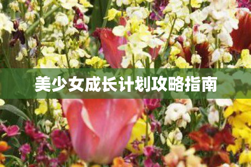 美少女成长计划攻略指南