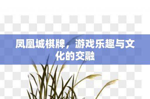 凤凰城棋牌,游戏乐趣与文化的交融 凤凰城棋牌,游戏乐趣与文化的交融