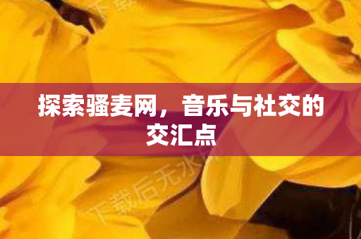 探索骚麦网，音乐与社交的交汇点