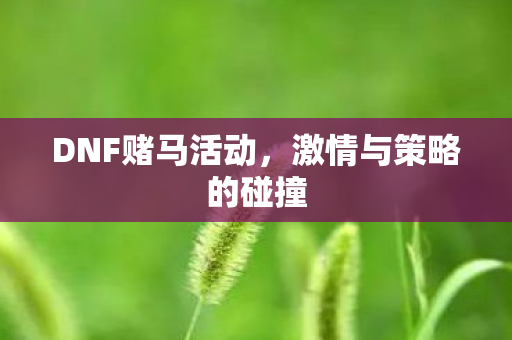 DNF赌马活动,激情与策略的碰撞 DNF赌马活动,激情与策略的碰撞