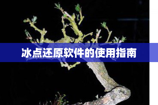 冰点还原软件的使用指南 冰点还原软件的使用指南