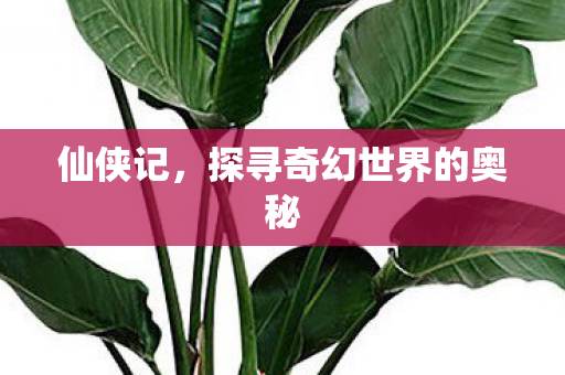 仙侠记,探寻奇幻世界的奥秘 仙侠记,探寻奇幻世界的奥秘