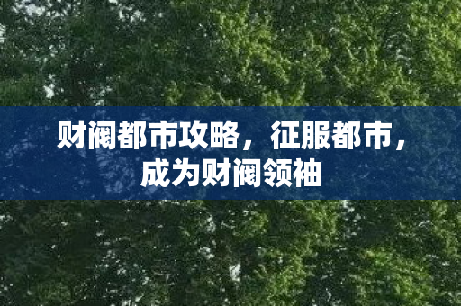 财阀都市攻略,征服都市,成为财阀领袖 财阀都市攻略,征服都市,成为财阀领袖