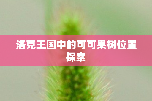 洛克王国中的可可果树位置探索 洛克王国中的可可果树位置探索