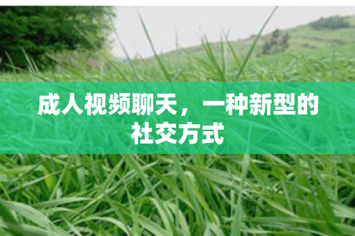 成人视频聊天,一种新型的社交方式 成人视频聊天,一种新型的社交方式