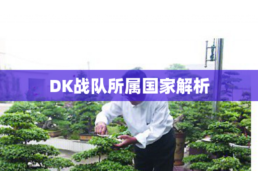 DK战队所属国家解析