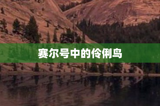 赛尔号中的伶俐鸟