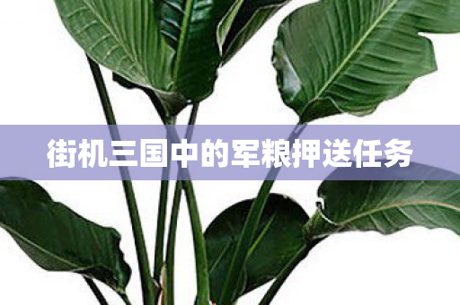 街机三国中的军粮押送任务 街机三国中的军粮押送任务
