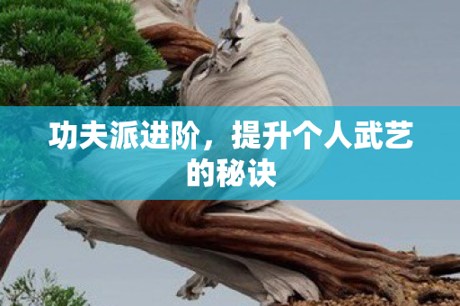 功夫派进阶,提升个人武艺的秘诀 功夫派进阶,提升个人武艺的秘诀