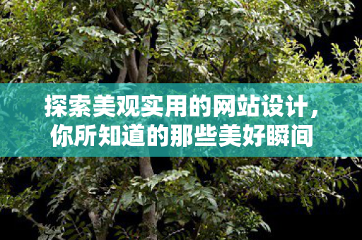 探索美观实用的网站设计，你所知道的那些美好瞬间