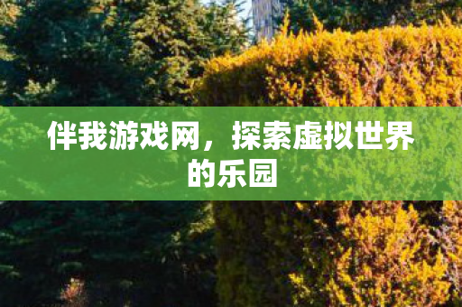 伴我游戏网，探索虚拟世界的乐园
