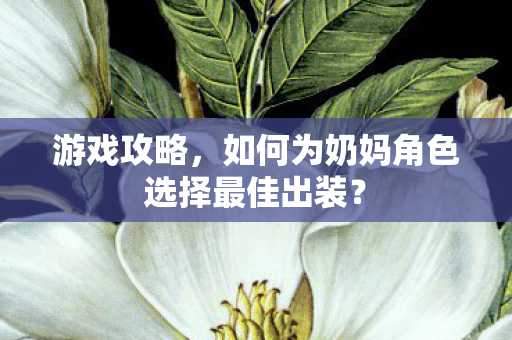 游戏攻略，如何为奶妈角色选择最佳出装？