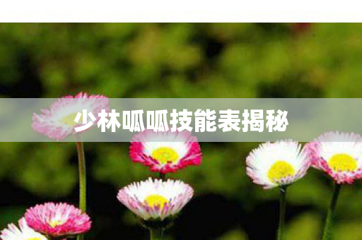 少林呱呱技能表揭秘 少林呱呱技能表揭秘