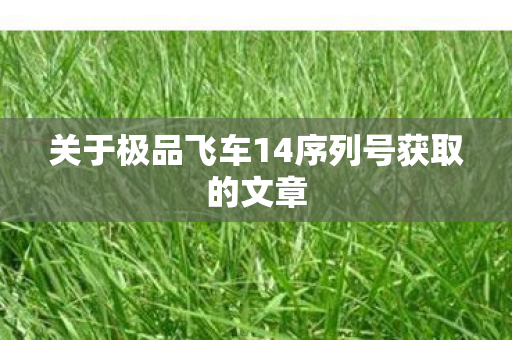 关于极品飞车14序列号获取的文章 关于极品飞车14序列号获取的文章