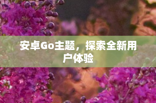 安卓Go主题,探索全新用户体验 安卓Go主题,探索全新用户体验
