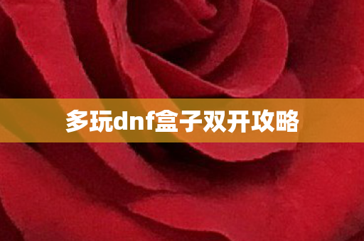 多玩dnf盒子双开攻略