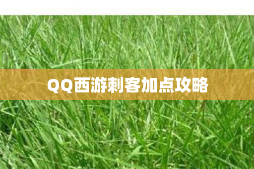 QQ西游刺客加点攻略 QQ西游刺客加点攻略