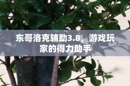 东哥洛克辅助3.8，游戏玩家的得力助手