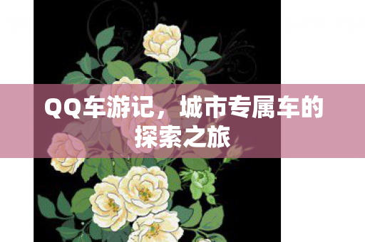 QQ车游记，城市专属车的探索之旅