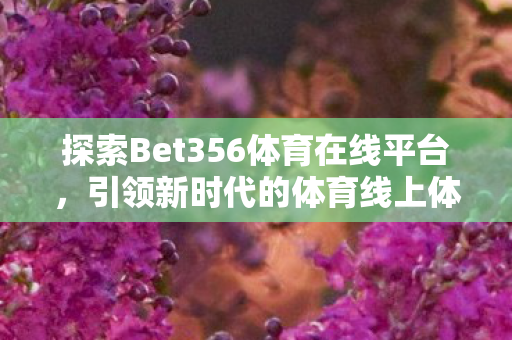 探索Bet356体育在线平台，引领新时代的体育线上体验