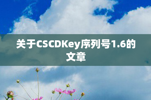 关于CSCDKey序列号1.6的文章