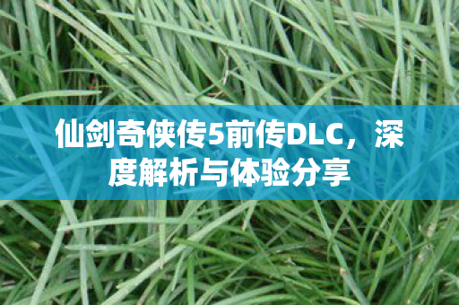 仙剑奇侠传5前传DLC，深度解析与体验分享