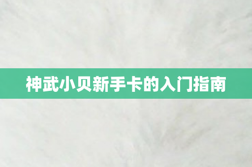 神武小贝新手卡的入门指南 神武小贝新手卡的入门指南