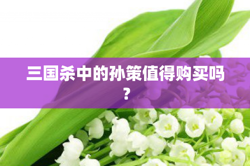 三国杀中的孙策值得购买吗？