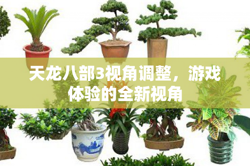 天龙八部3视角调整,游戏体验的全新视角 天龙八部3视角调整,游戏体验的全新视角