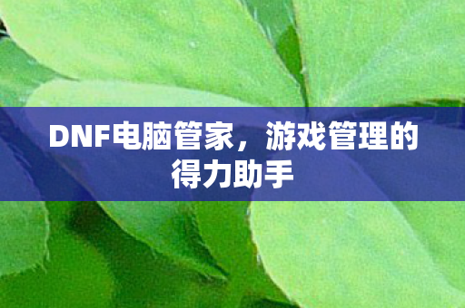 DNF电脑管家，游戏管理的得力助手
