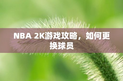NBA 2K游戏攻略,如何更换球员 NBA 2K游戏攻略,如何更换球员