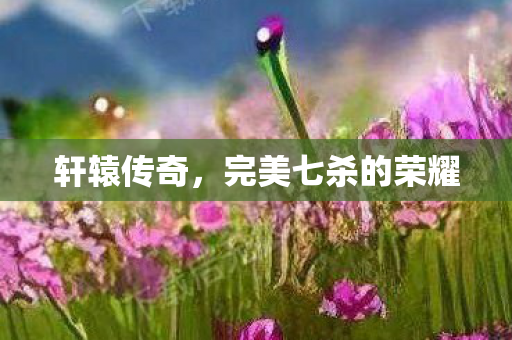 轩辕传奇,完美七杀的荣耀 轩辕传奇,完美七杀的荣耀