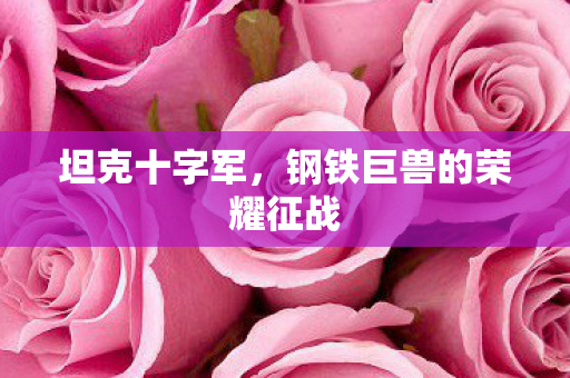 坦克十字军,钢铁巨兽的荣耀征战 坦克十字军,钢铁巨兽的荣耀征战