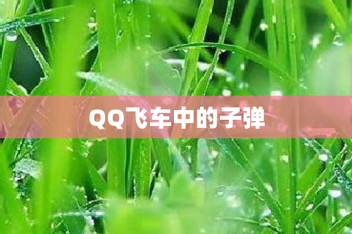 QQ飞车中的子弹