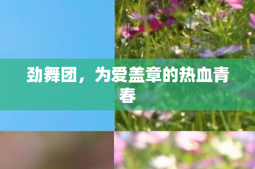 劲舞团，为爱盖章的热血青春