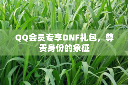QQ会员专享DNF礼包，尊贵身份的象征