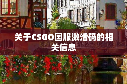 关于CSGO国服激活码的相关信息 关于CSGO国服激活码的相关信息