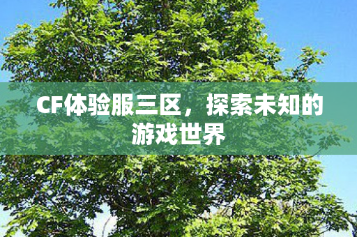 CF体验服三区,探索未知的游戏世界 CF体验服三区,探索未知的游戏世界