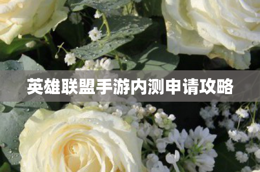 英雄联盟手游内测申请攻略 英雄联盟手游内测申请攻略