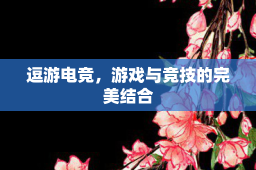 逗游电竞,游戏与竞技的完美结合 逗游电竞,游戏与竞技的完美结合