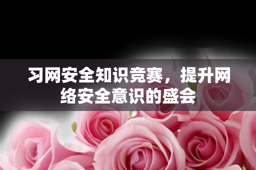 习网安全知识竞赛,提升网络安全意识的盛会 习网安全知识竞赛,提升网络安全意识的盛会