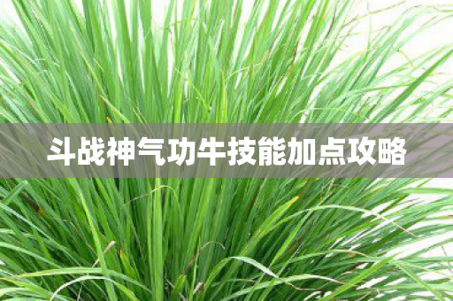 斗战神气功牛技能加点攻略 斗战神气功牛技能加点攻略